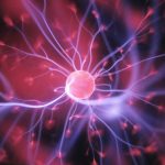 Fall Group Classes 12 biology aralia education