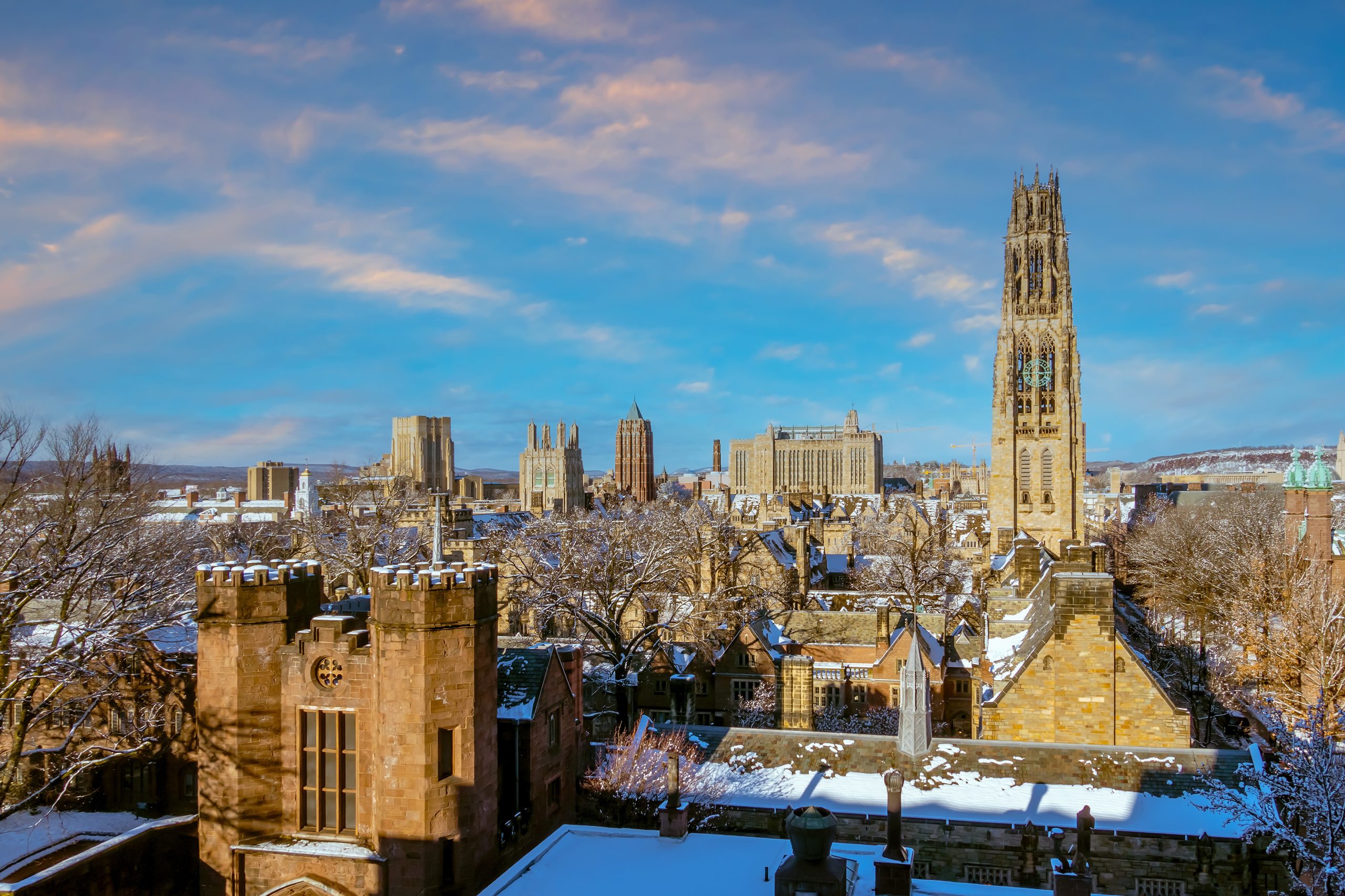 Top 11 Art Schools in America 2 AdobeStock 463414375 scaled