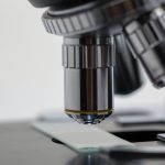 How to Outline an English or History Research Paper 3 research process