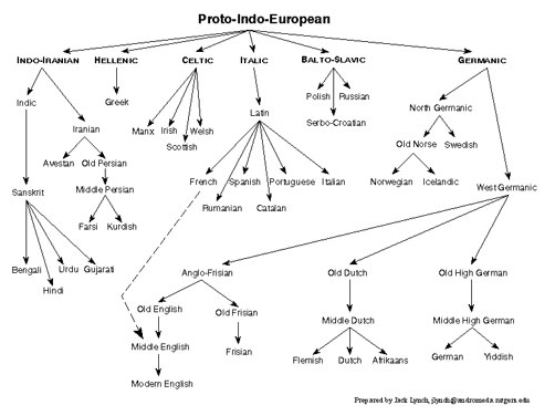 latin root