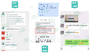 3枚纽约时报夏季读写竞赛奖项