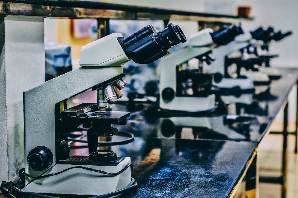 Complete Guide to the Research Science Institute 1 7 STEM activities for high school students