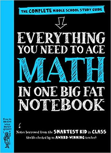 Ace Math in One Big Fat Notebook cover