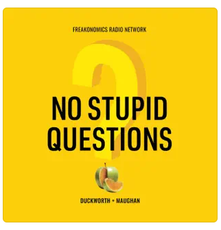 no stupid questions podcast screenshot