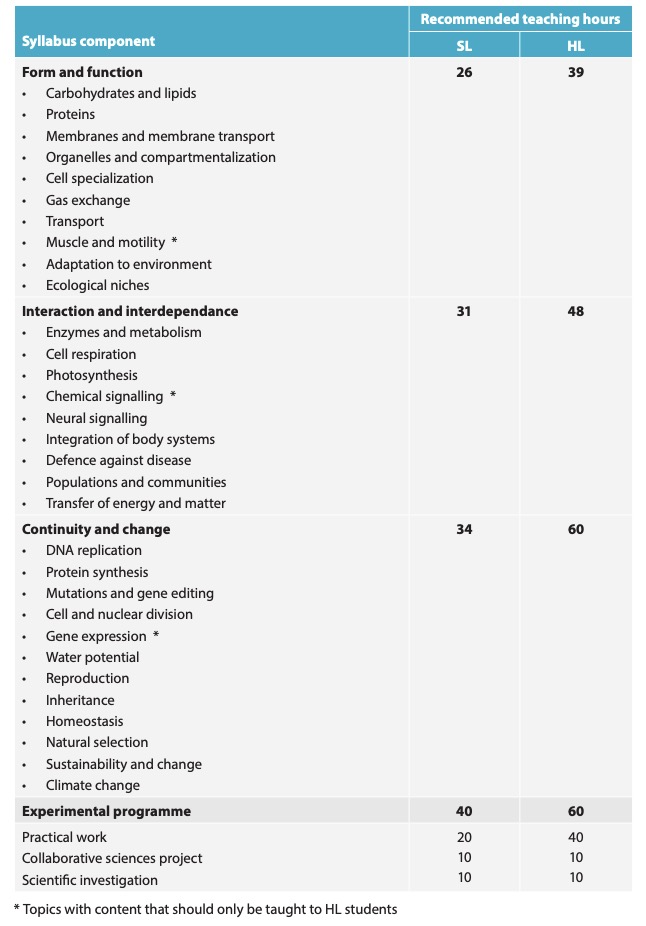 ib syllabus new2