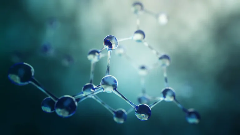 Step-by-Step Guide to the Regeneron ISEF