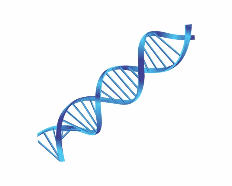 DNA Day论文竞赛备赛课程