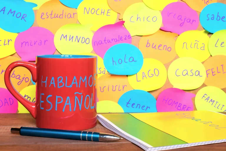 Everything You Need to Ace the National Spanish Exam