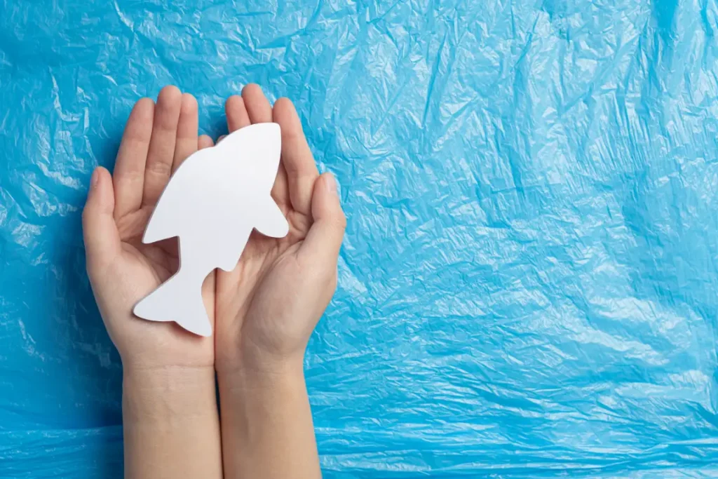 Complete Guide to Ocean Awareness Contest