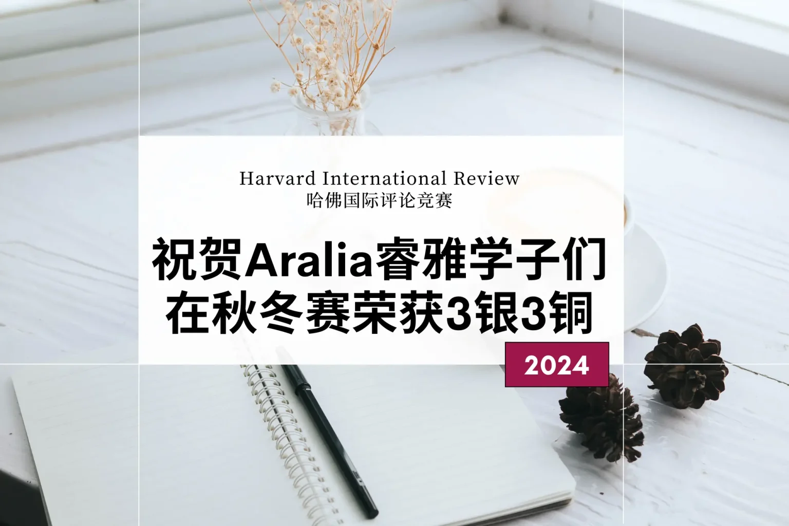 学生奖项 3 HIR Essay Contest 2024 cns 3silver3bronze