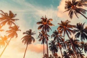 Top 8 Boarding High Schools in California