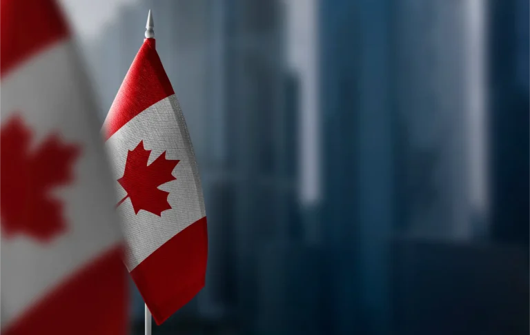 Should I Attend a Public or Private High School in Canada?