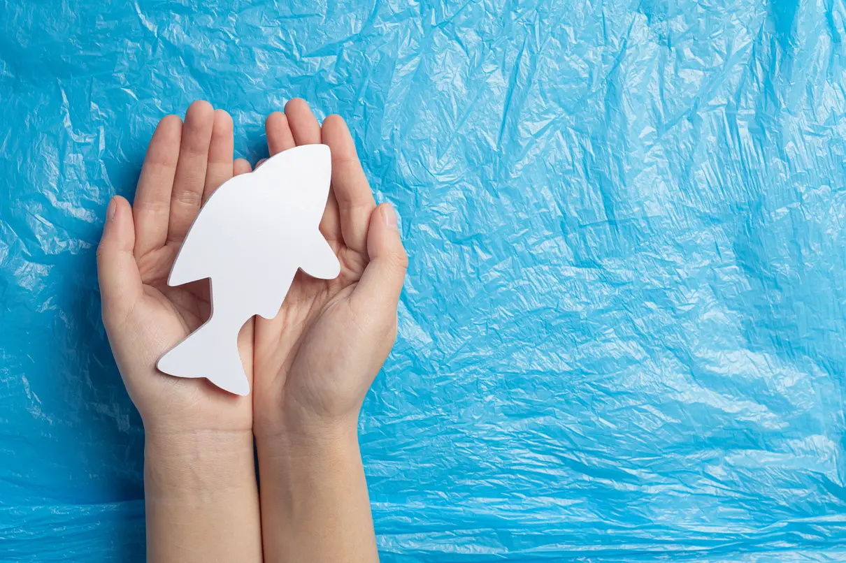 The Earth Prize 1 The Earth Prize