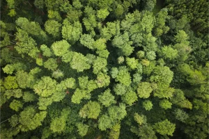 Complete Guide to the Oxford Saïd Global Climate Tech Challenge