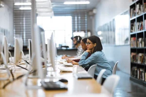 Private vs. Public University: Key Differences Explained