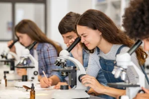 Top 8 Hoạt Động Ngoại Khóa Mùa Hè Giúp Học Sinh Xây Dựng Hồ Sơ Du Học Nổi Bật