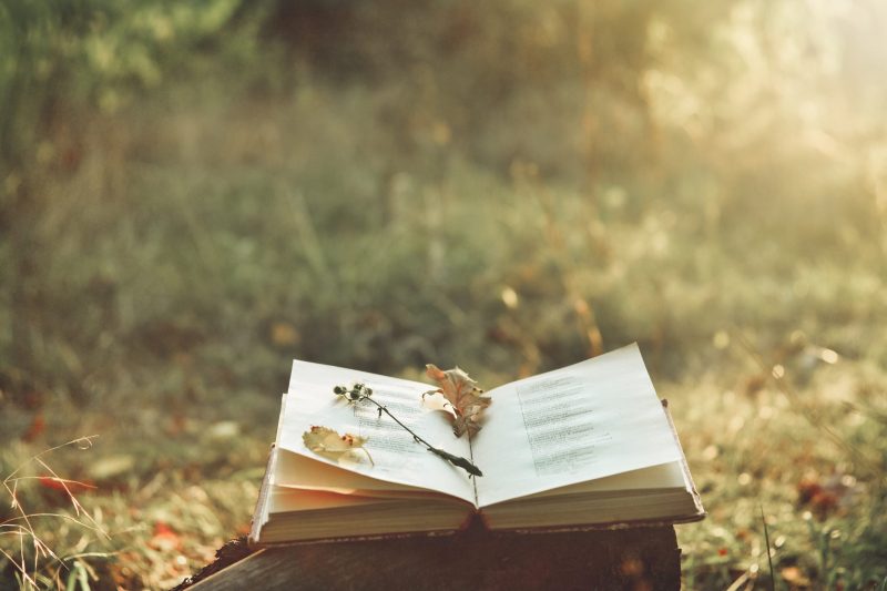 Vintage book of poetry outdoors with fallen leaves on it