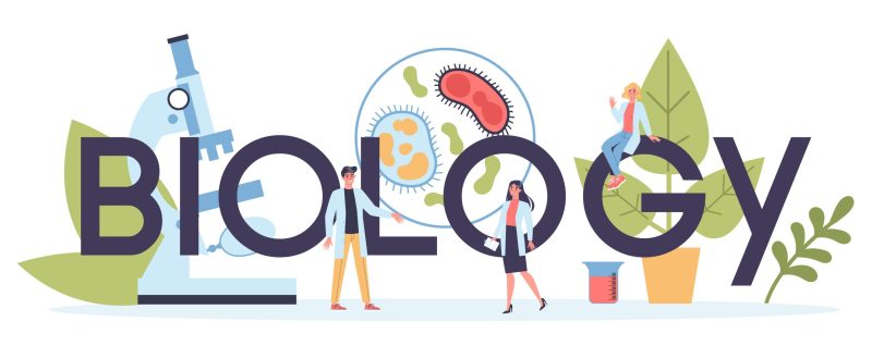 Biology science web header. People with microscope make laboratory analysis. Idea of education and experiment. Vector illustration in cartoon style