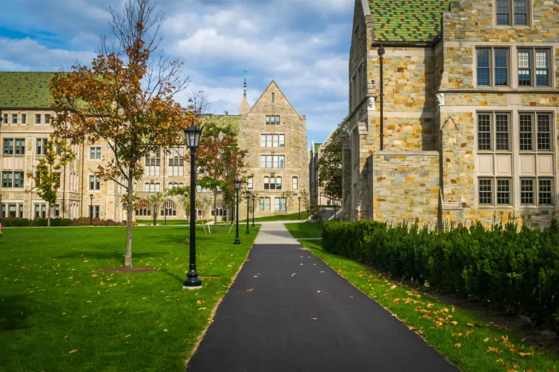 NYU Summer Program All You Need To Know Aralia