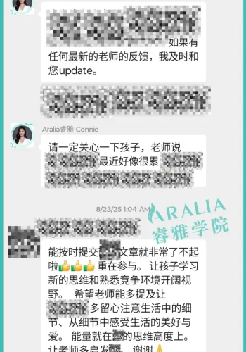 睿雅学术顾问进行课程反馈